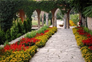 Част от действието в романа се развива в прекрасната Ботаническа градина в Балчик.