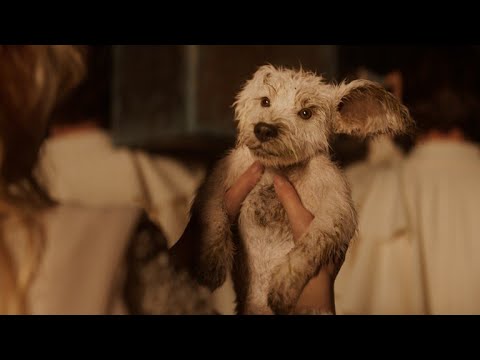 Бутон за зареждане на YouTube видео