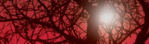 Kurvava-Luna tt