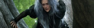 INTO THE WOODS