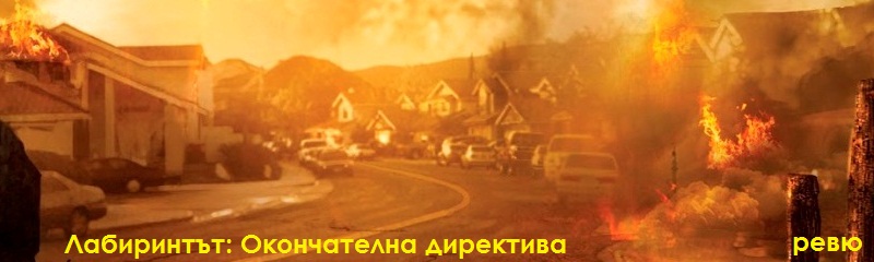 Страданието на оцелелите