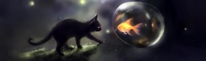 fantasycool