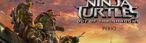ninja turtles