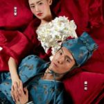 Tai zi fei sheng zhi ji