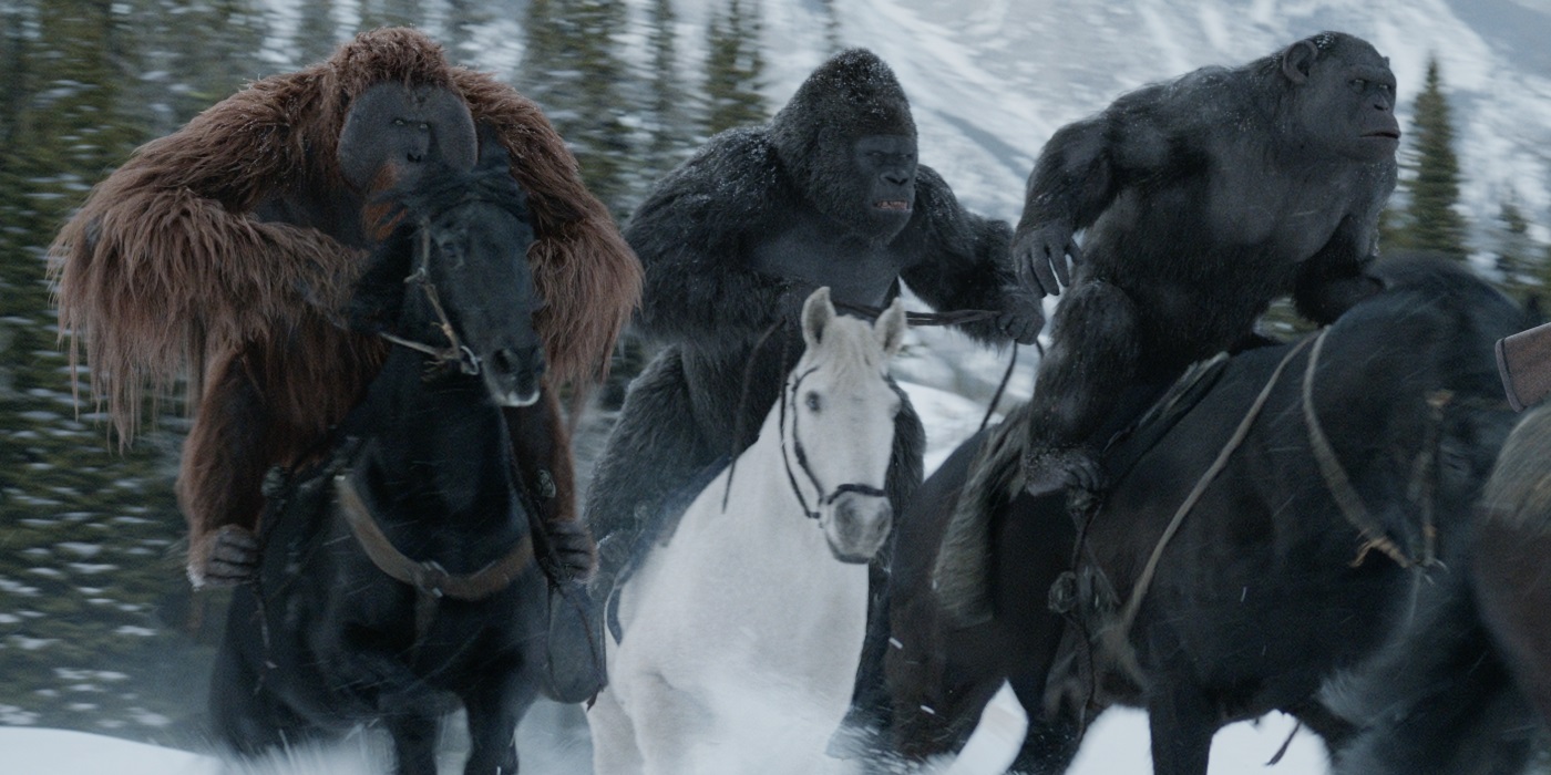 Изображение с име: War-for-the-Planet-of-the-Apes-Maurice-Luca-and-Rocket-on-horses