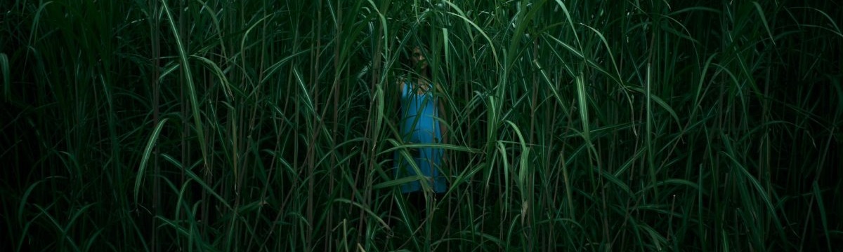 Изображение с име: In-the-tall-grass-e1