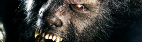wolf man