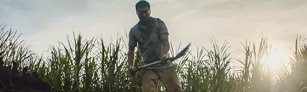 Филипински зомби-хорър е хит по Netflix