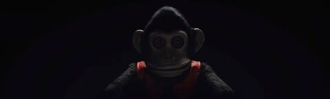 the monkey
