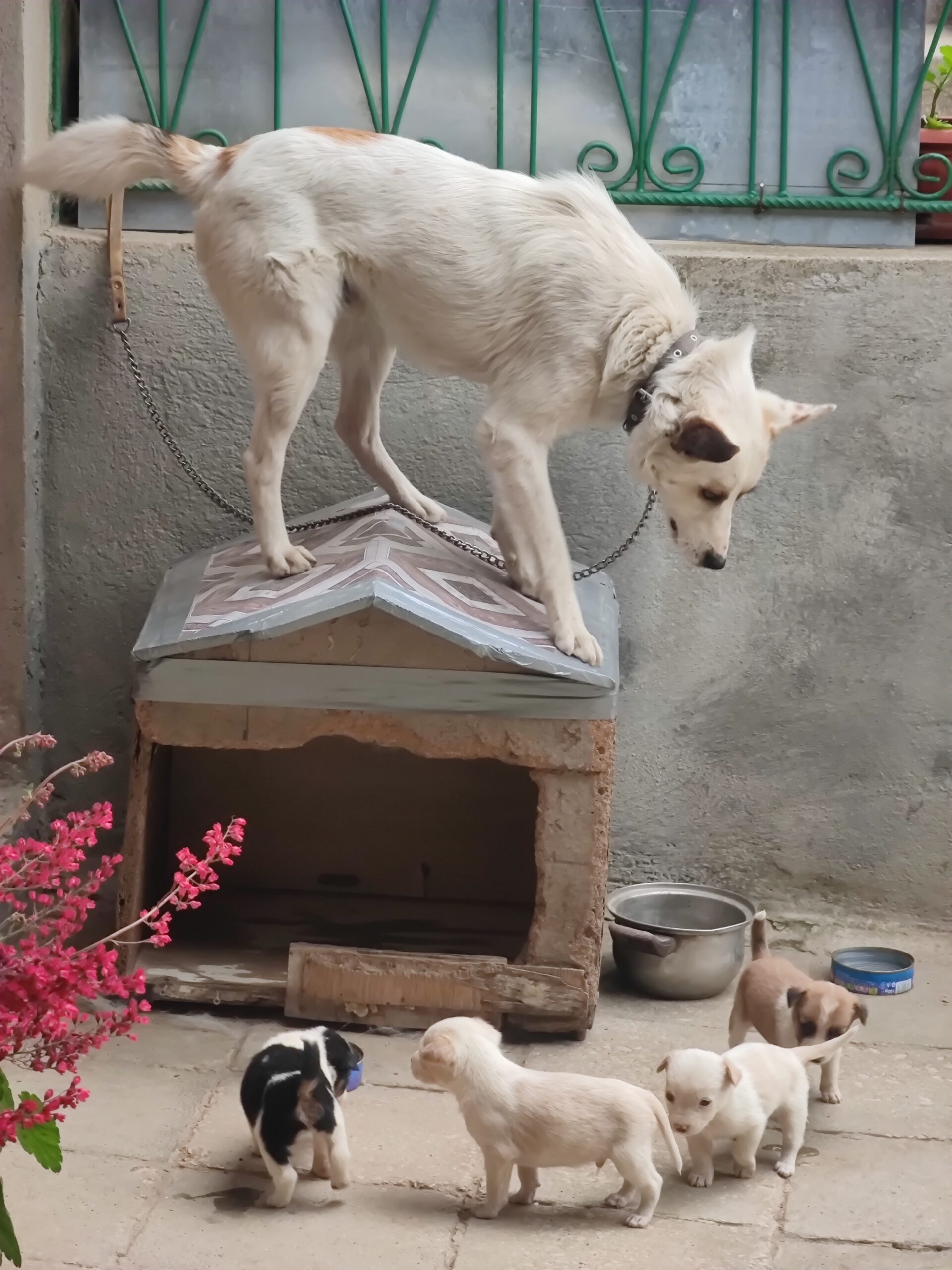 Изображение с име: 1761513639939