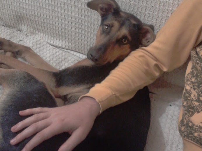 Изображение с име: 2014-11-22 21.57.24