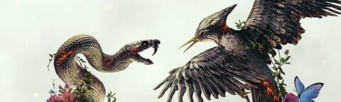 hunger games sunrise on the reaping