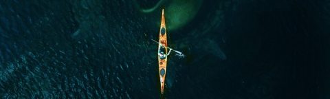 kraken