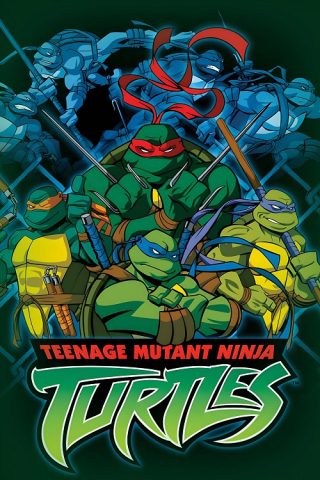 teenage mutant ninja turtles 2003